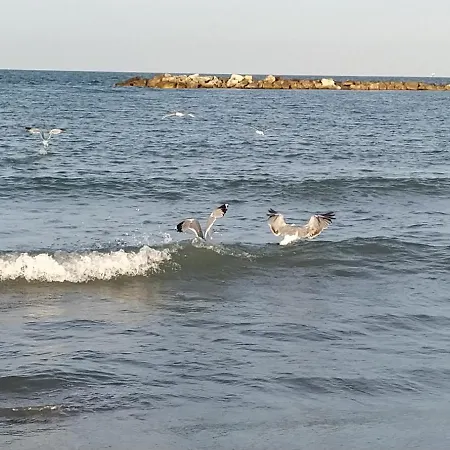 Hébergement de vacances Al Civico 2 Ravenne