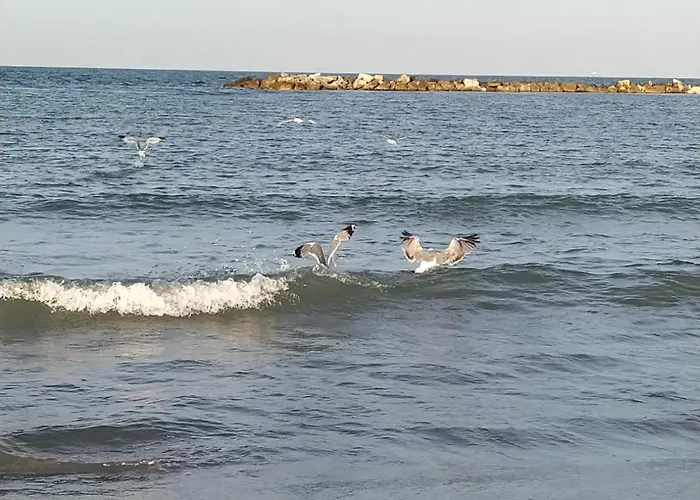 펜션 Al Civico 2 라벤나